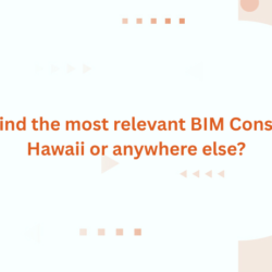 How to find the most relevant BIM Consultant in Hawaii or anywhere else?