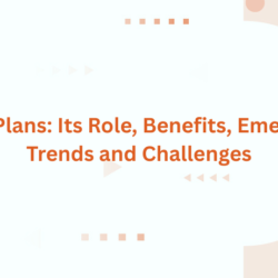MEP Plans Blog feature image